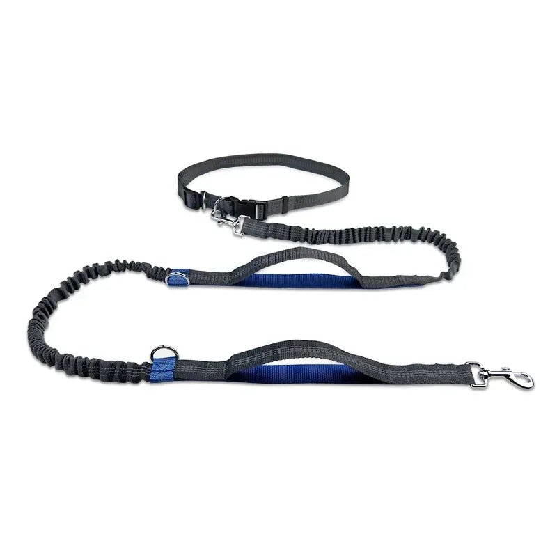 Laisse canicross Promenade sportive bleu