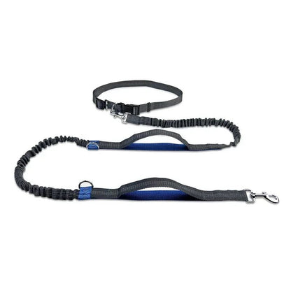 Laisse canicross Promenade sportive bleu