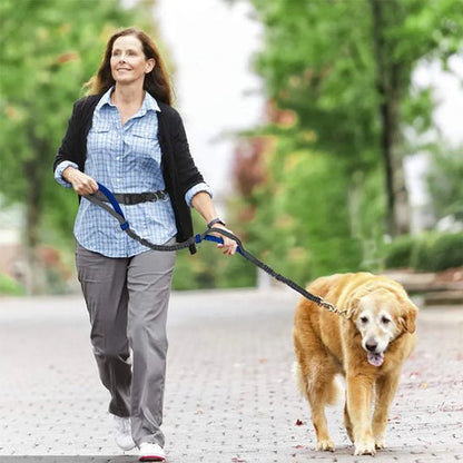 Laisse canicross  Promenade sportive -bleu golden marche