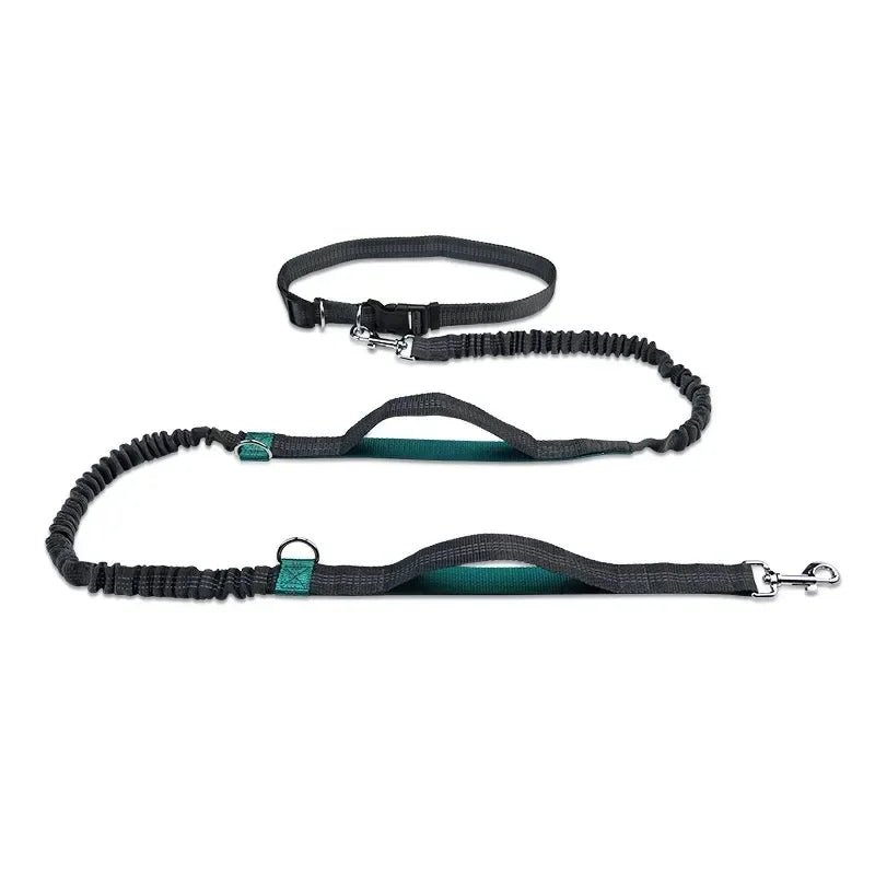 Laisse canicross Promenade sportive turquoise