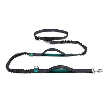Laisse canicross Promenade sportive turquoise