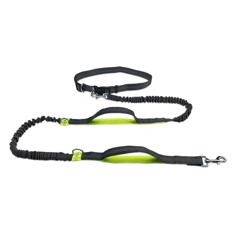 Laisse canicross Promenade sportive vert