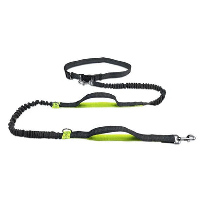 Laisse canicross Promenade sportive vert