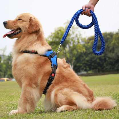 Laisse pour chien Montagnard bleu golden