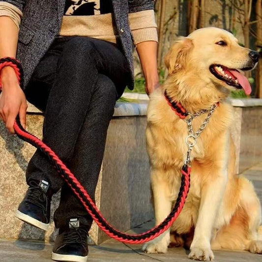 Laisse pour chien | Montagnard (noir/couleur)