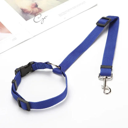 Laisse pour chien | ceinture de sécurité