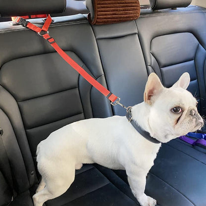 Laisse pour chien | ceinture de sécurité