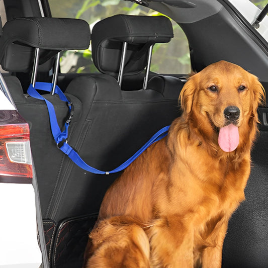 Laisse pour chien | ceinture de sécurité