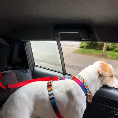Laisse pour chien | ceinture de sécurité