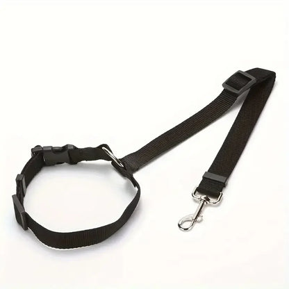Laisse pour chien | ceinture de sécurité