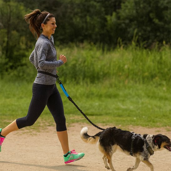 Laisse chien main libre jogging à deux sentier