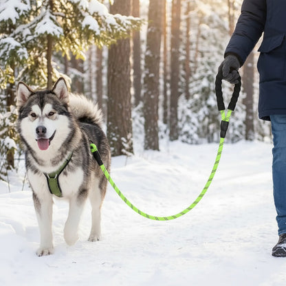 Laisse chien poignée souple longue verte malamute