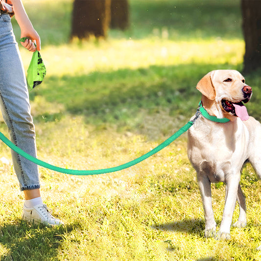 Laisse pour chien | Réfléchissante et résistante (couleurs pâles)