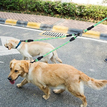 Laisse double pour chien corde traction labrador
