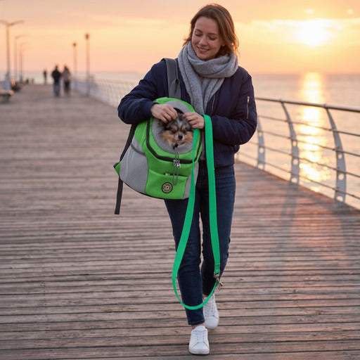 Longe chien | Nylon résistant rouge et vert