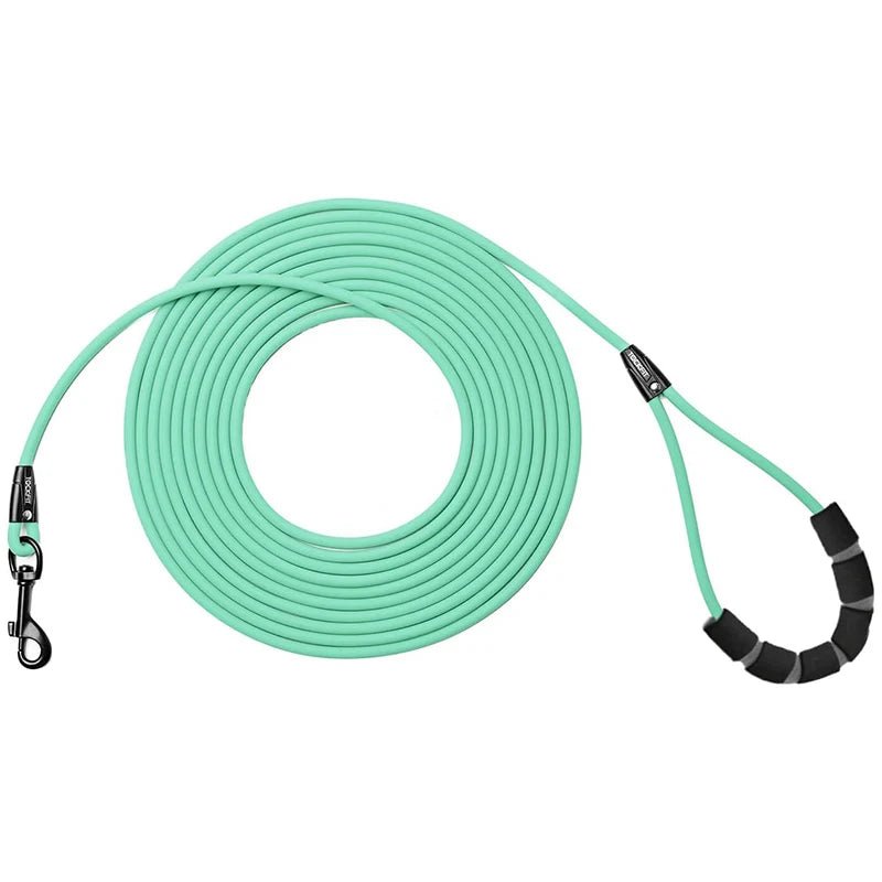 Longe pour chien activités sécurisées cyan