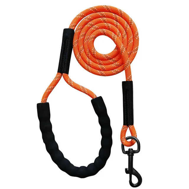 Longe pour chien corde escalade golden orange courte