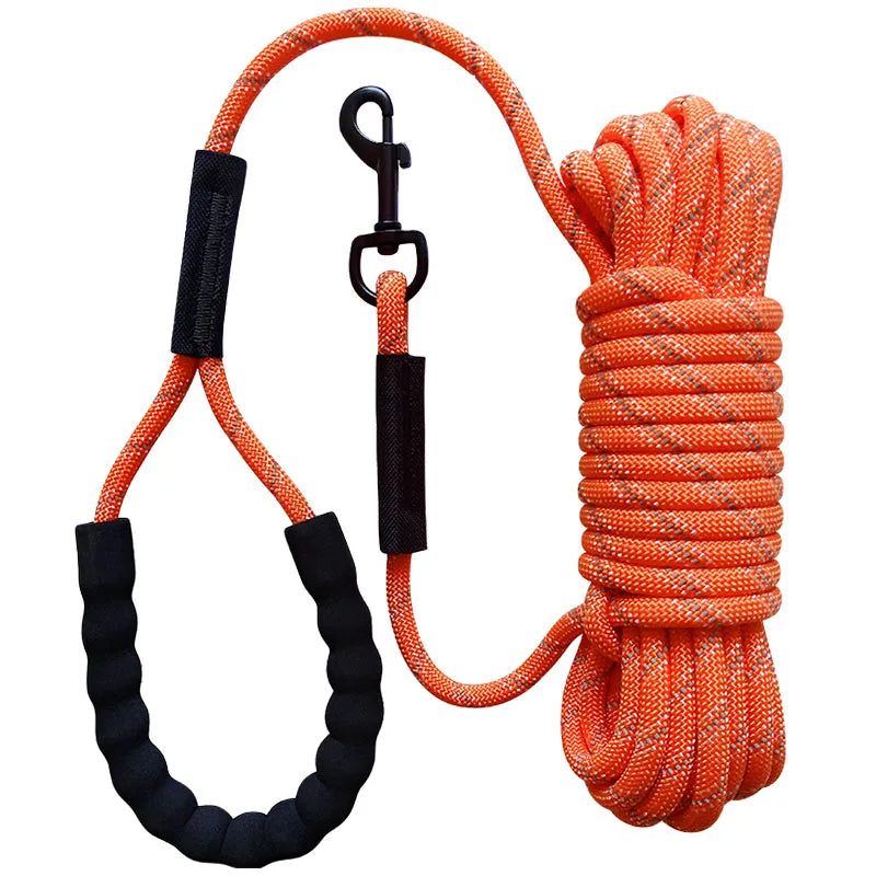 Longe pour chien corde escalade golden orange longue 