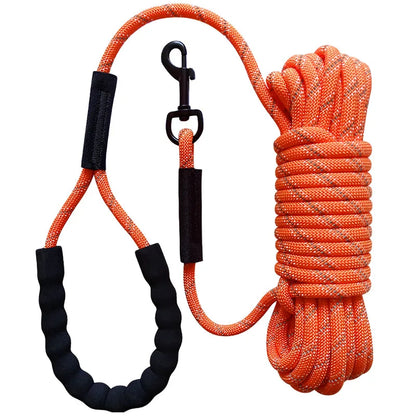 Longe pour chien corde escalade golden orange longue 