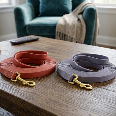 Longe pour chien étanche durable rouge et gris