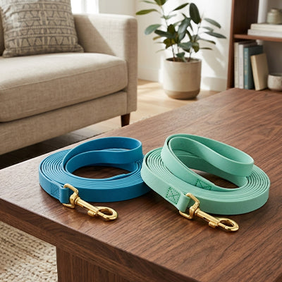 Longe pour chien facile entretien bleu et vert