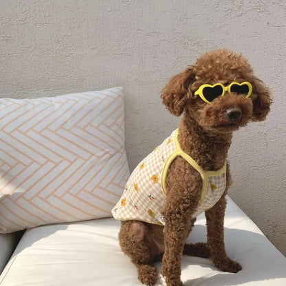 Lunettes cœur pour chien avec protection UV