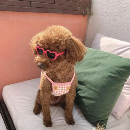 Lunettes cœur pour chien avec protection UV