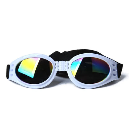 Lunette pour chien | Protection UV - Pâle