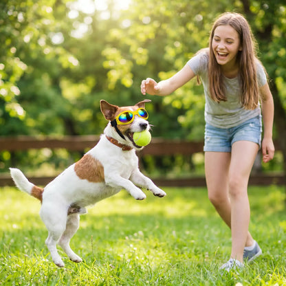 Lunette pour chien | Protection UV - Pâle