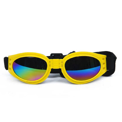Lunette pour chien | Protection UV - Pâle