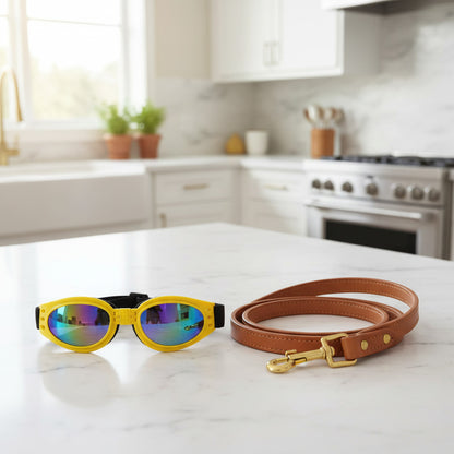 Lunette pour chien protection UV pâle jaune cuisine