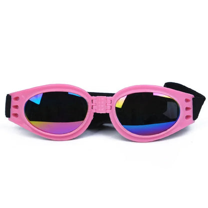 Lunette pour chien | Protection UV - Pâle