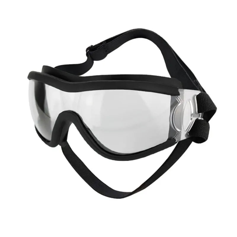 Lunettes pour chien | coupe-vent et imperméable