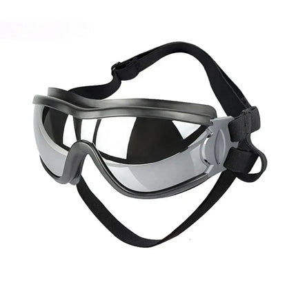 Lunettes pour chien | coupe-vent et imperméable