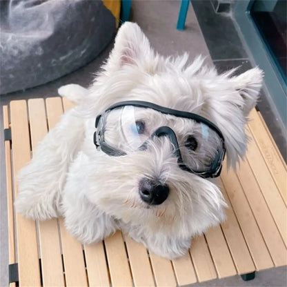 Lunettes pour chien | coupe-vent et imperméable