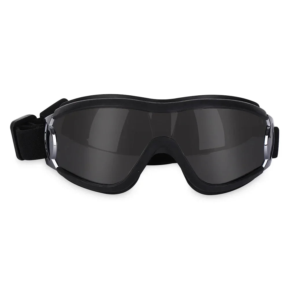 Lunettes pour chien protection hivernale noir fumé