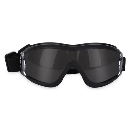 Lunettes pour chien protection hivernale noir fumé