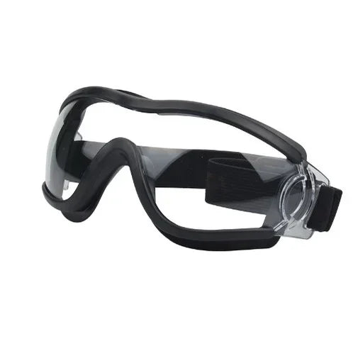 Lunettes pour chien protection hivernale transparente