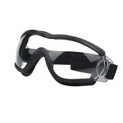 Lunettes pour chien protection hivernale transparente