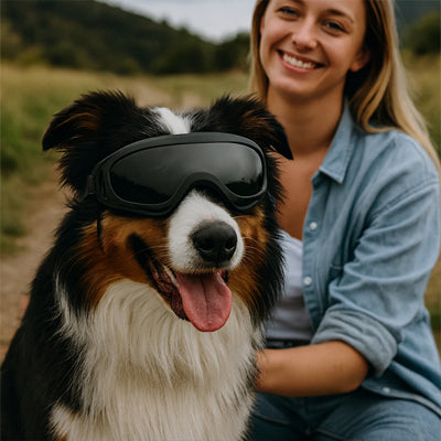 Lunettes pour chien | Réglable et anti-UV