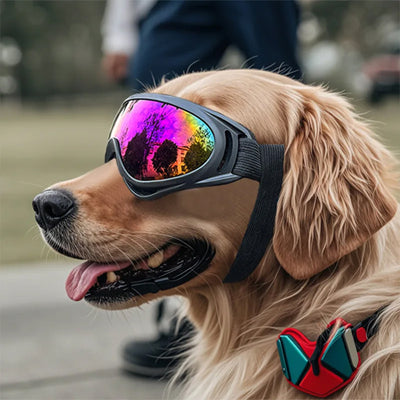 Lunettes pour chien | Réglable et anti-UV
