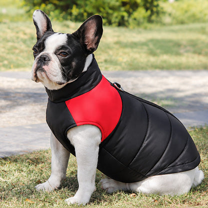 Boston terrier portant un manteau chien thermique rouge et noir, vu de profil
