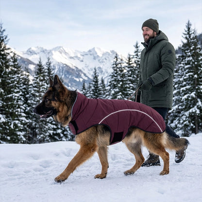 Berger allemand portant le manteau pour chien bourgogne en promenade dans la neige en montagne