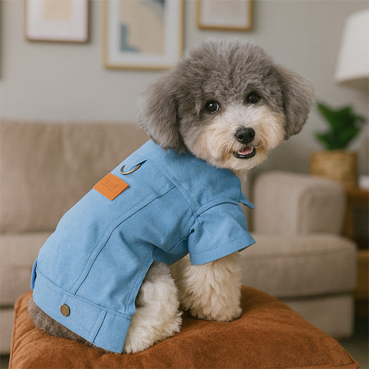 Manteau chien | Denim et style