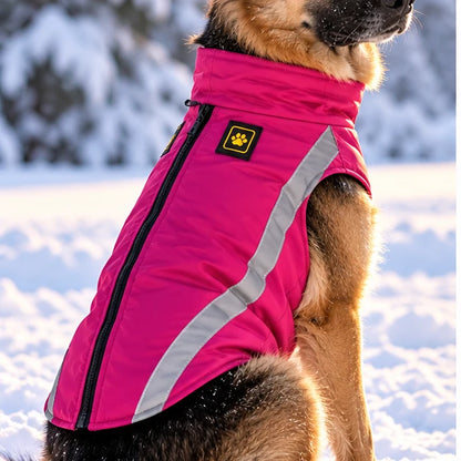Berger portant un manteau pour chien hiver chaud rose, photo modèle
