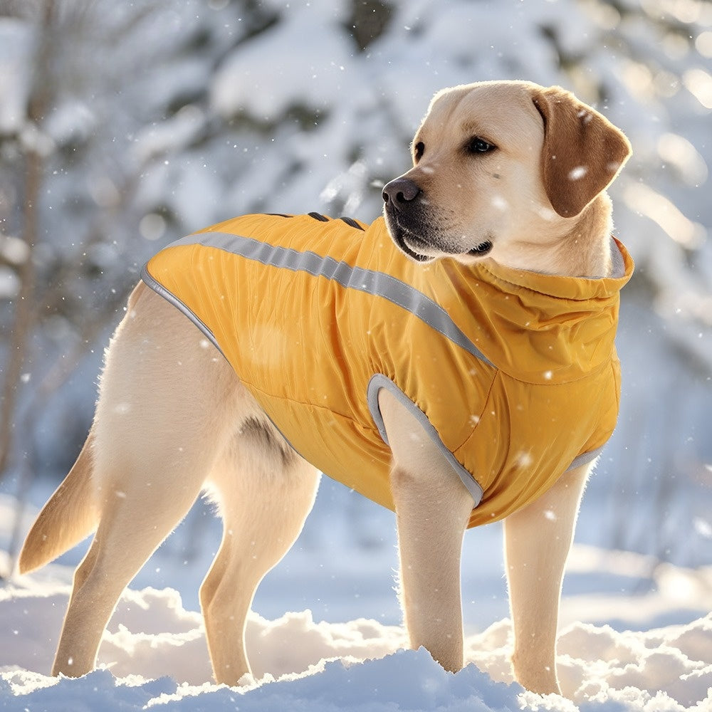 Manteau pour chien hiver chaud réfléchissant golden jaune hiver