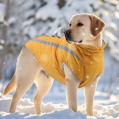 Manteau pour chien hiver chaud réfléchissant golden jaune hiver
