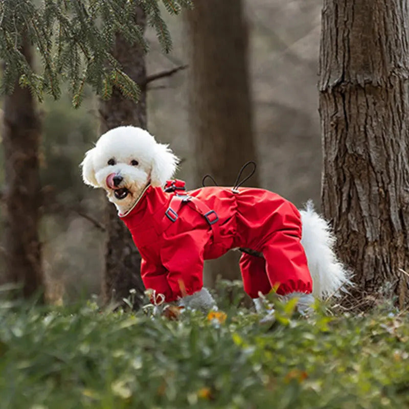 Chien blanc portant un manteau pour chien imperméable rouge sur un sentier boisé

