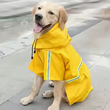 Chiot portant un manteau pour chien imperméable jaune à l'intérieur
