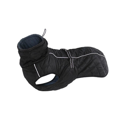 Manteau chien imperméable chaud modèle noir2